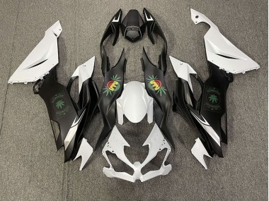 2019-2023 Happy Face Kawasaki ZX6R Motorcycle Fairings