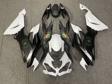2019-2023 Happy Face Kawasaki ZX6R Motorcycle Fairings